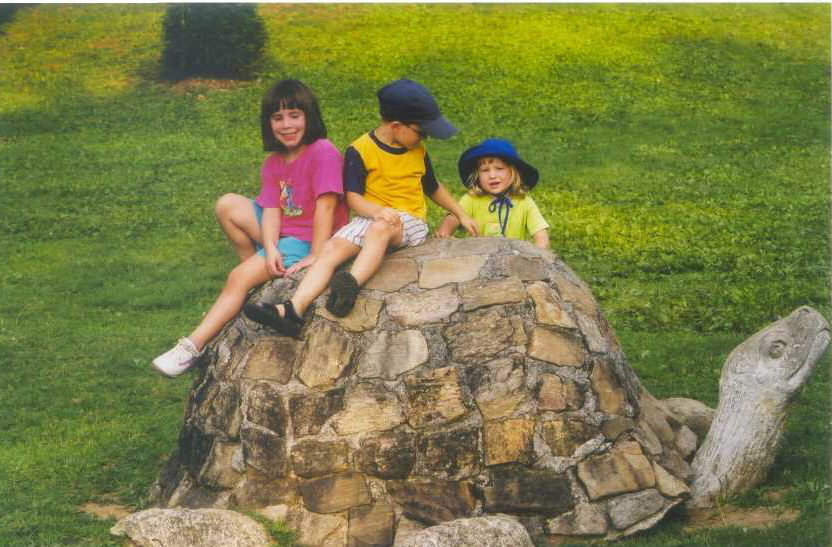 Tully Turtle