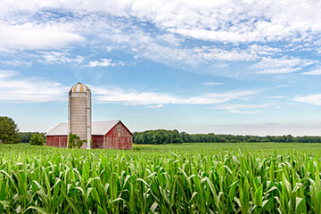 Photo of a barn and farmland